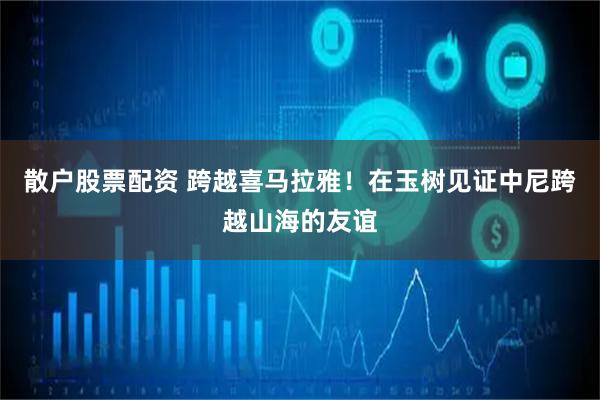 散户股票配资 跨越喜马拉雅！在玉树见证中尼跨越山海的友谊
