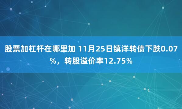 股票加杠杆在哪里加 11月25日镇洋转债下跌0.07%，转股溢价率12.75%